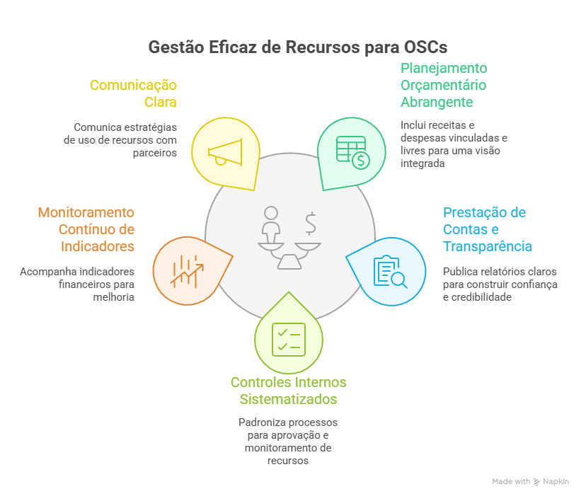 Gestão Eficaz de Recursos para OSCs - Gestão Financeira Bússola